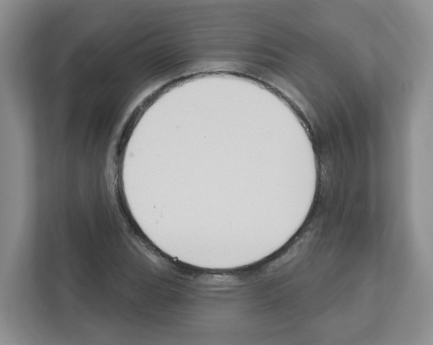 X0000111421119200908241126