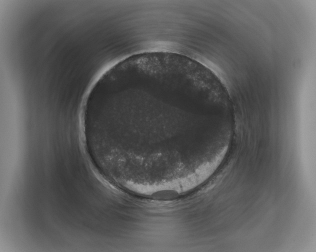 X0000111421120200908241126