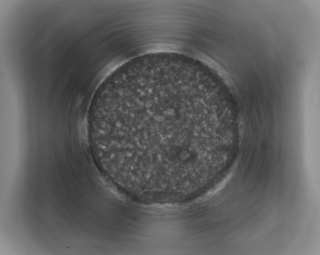 X0000111421121200908241126