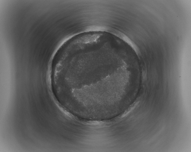 X0000111421124200908241126