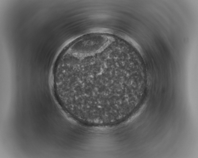 X0000111421125200908241126