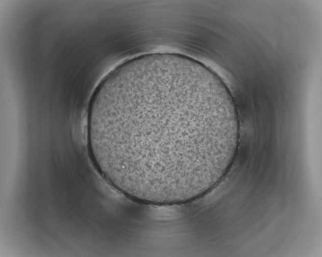 X0000111421126200908241126