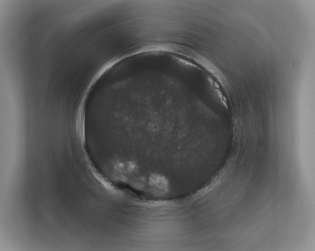 X0000111421127200908241126