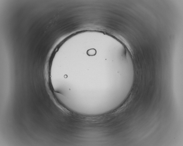 X0000111421128200908241126