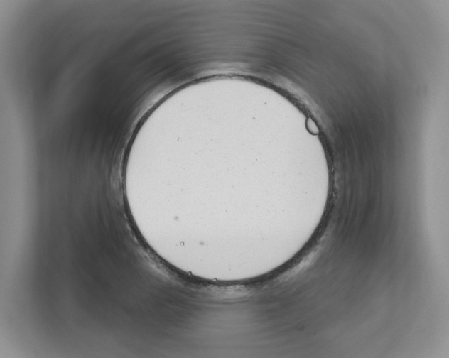 X0000111421129200908241126