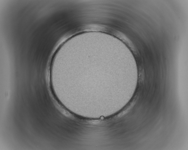 X0000111421130200908241127