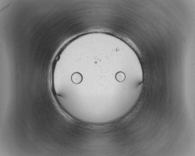X0000111421132200908241127