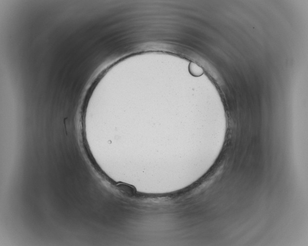 X0000111421133200908241127