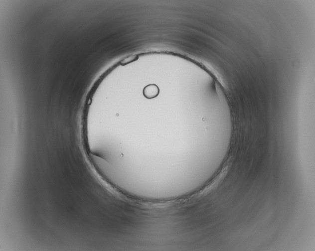 X0000111421134200908241127