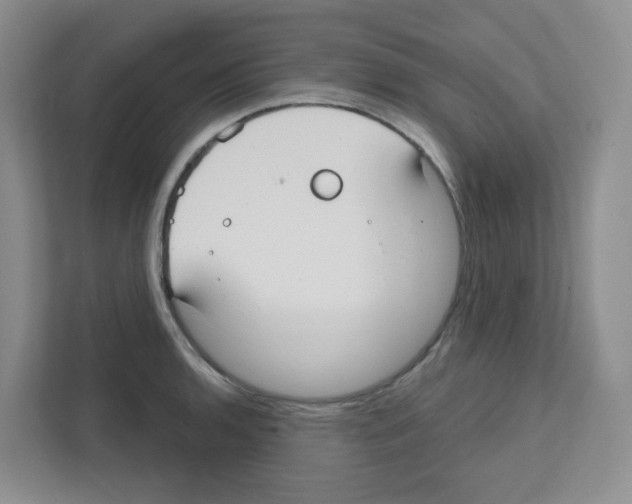 X0000111421136200908241127