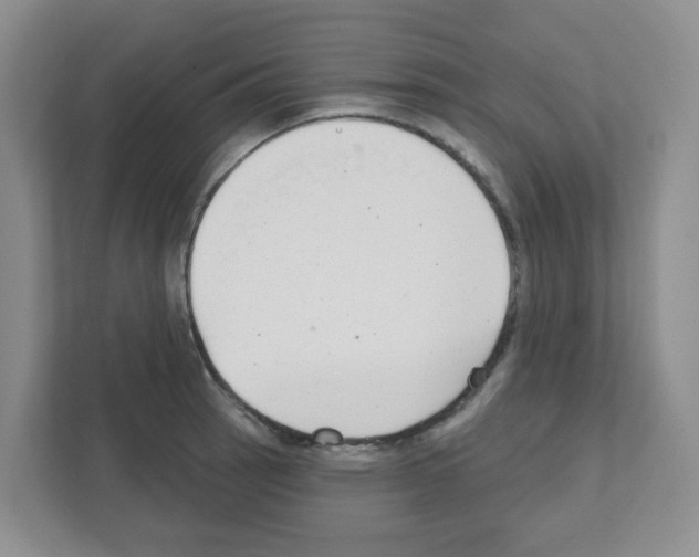 X0000111421137200908241127