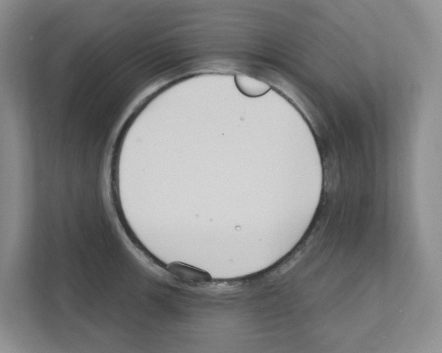 X0000111421139200908241127