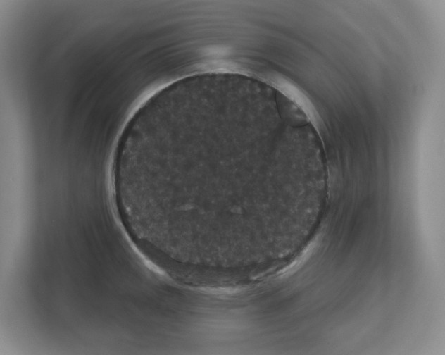 X0000111421141200908241127