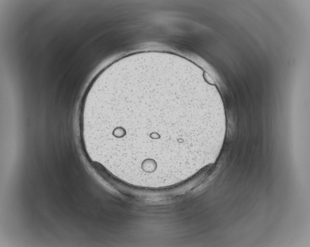 X0000111421142200908241127