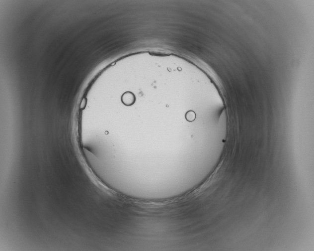 X0000111421144200908241127
