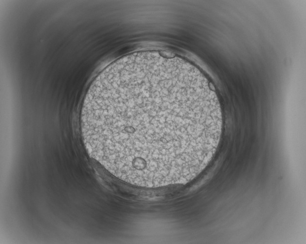 X0000111421145200908241127