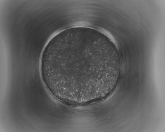 X0000111421146200908241127