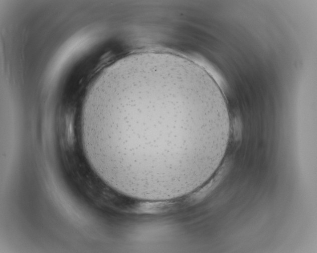 X0000111421150200908241127