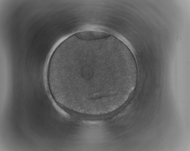 X0000111421152200908241127