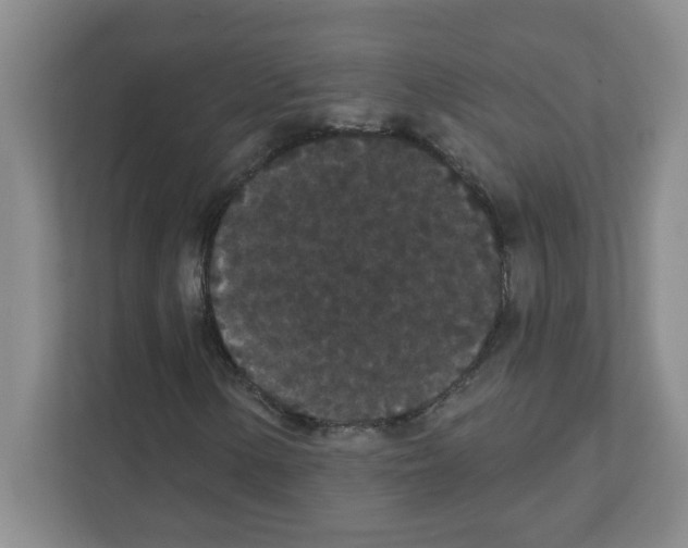 X0000111421154200908241126