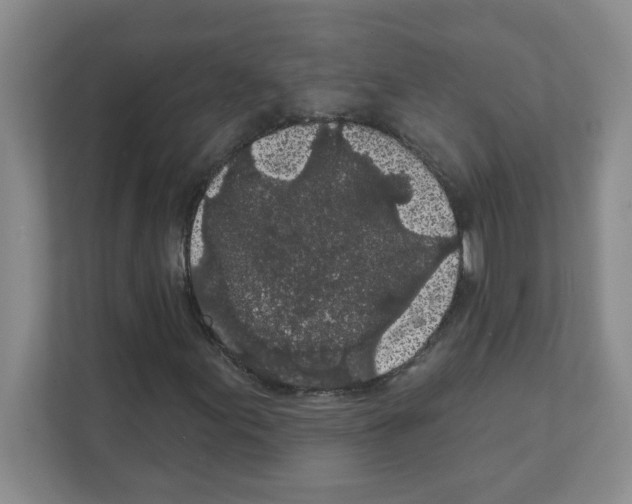 X0000111421155200908241126