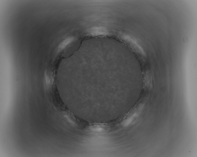 X0000111421157200908241126