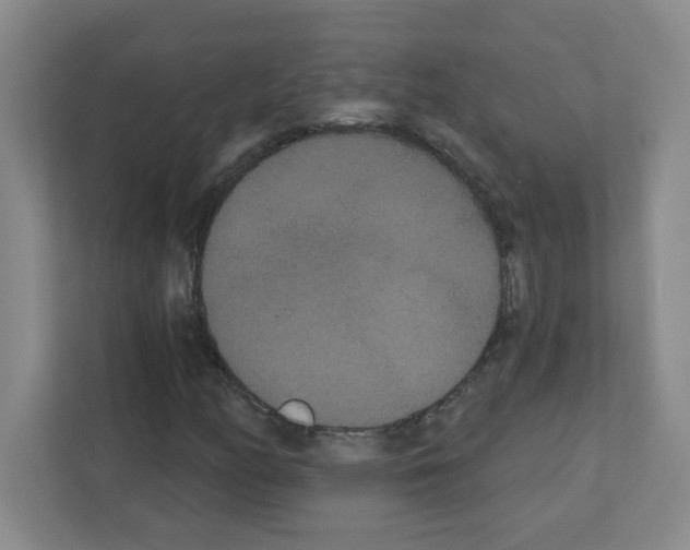 X0000111421158200908241126