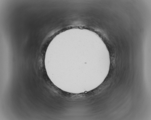 X0000111421159200908241126