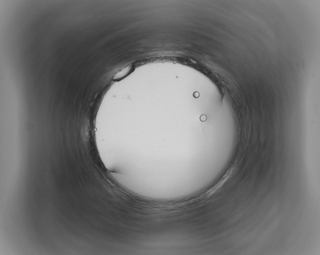 X0000111421161200908241126