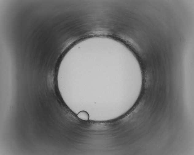 X0000111421162200908241126