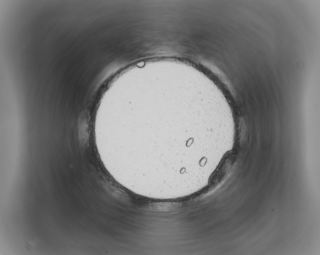X0000111421163200908241126