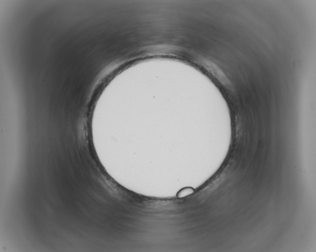 X0000111421164200908241126