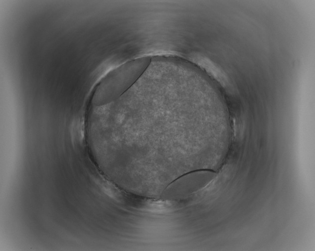 X0000111421165200908241126