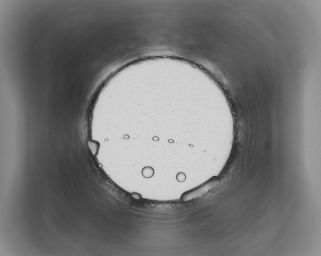 X0000111421167200908241126