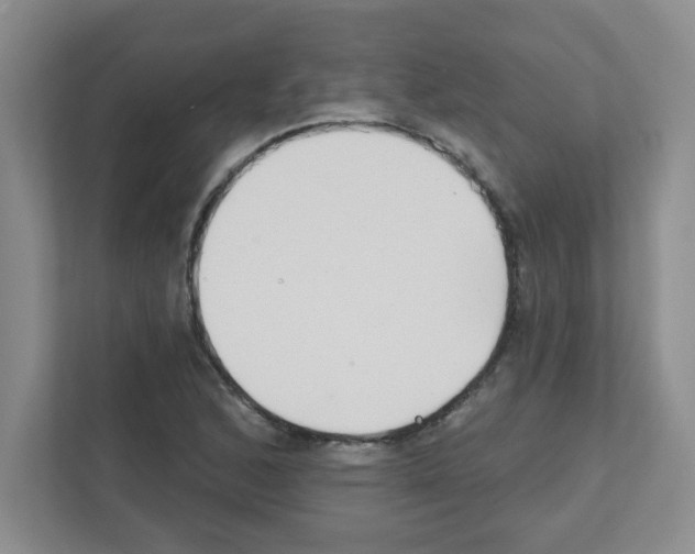 X0000111421168200908241126