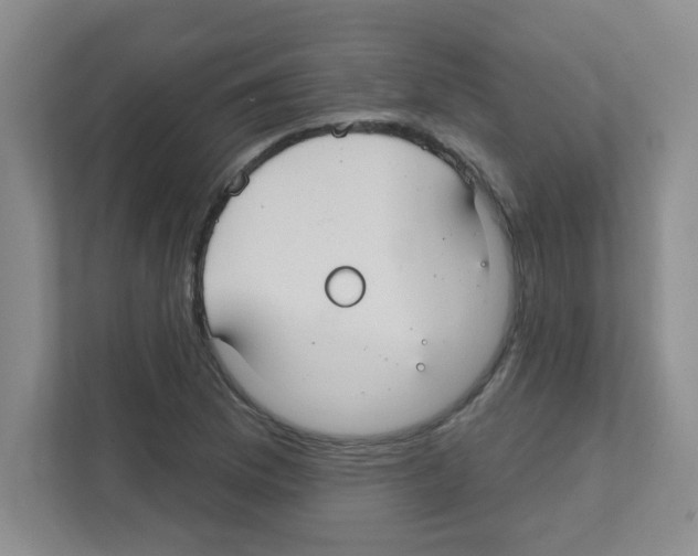 X0000111421169200908241126