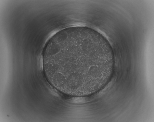 X0000111421171200908241126