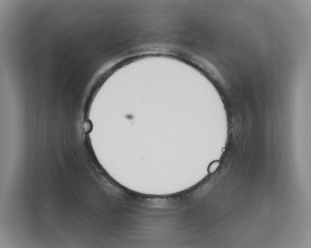X0000111421172200908241126