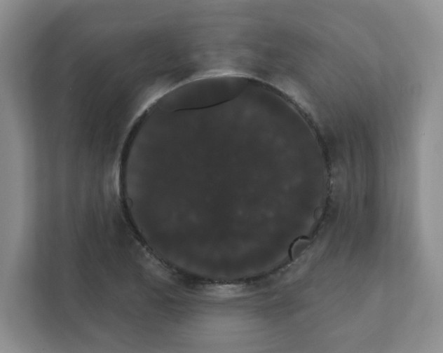 X0000111421173200908241126