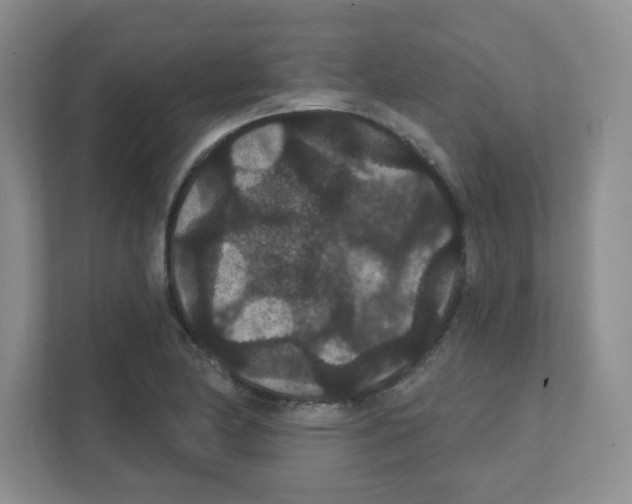 X0000111421174200908241126