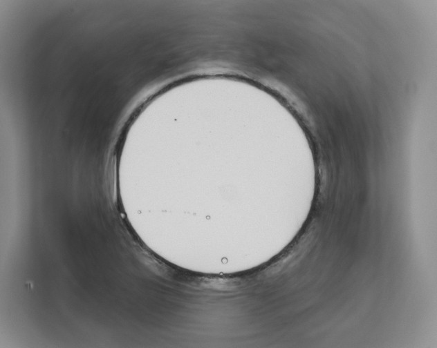 X0000111421175200908241126
