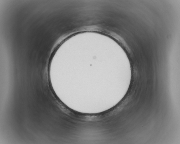 X0000111421176200908241126