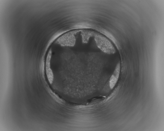 X0000111421179200908241126