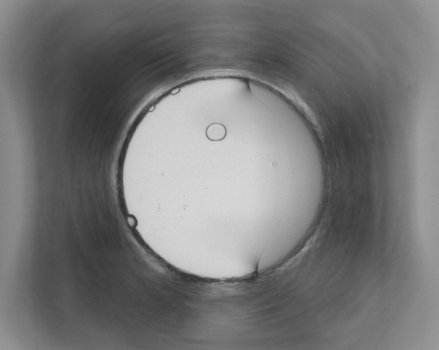 X0000111421181200908241126