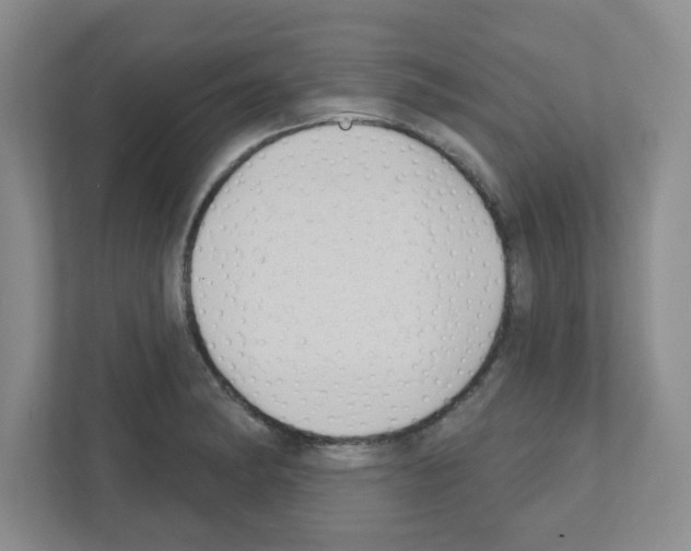 X0000111421182200908241126