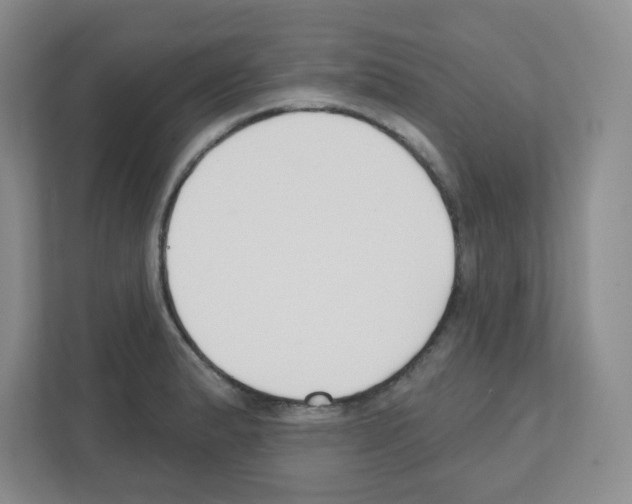 X0000111421183200908241126