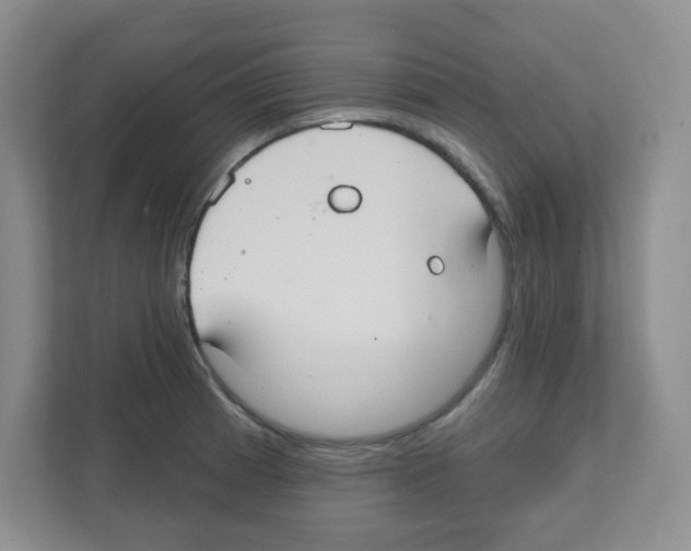 X0000111421185200908241126
