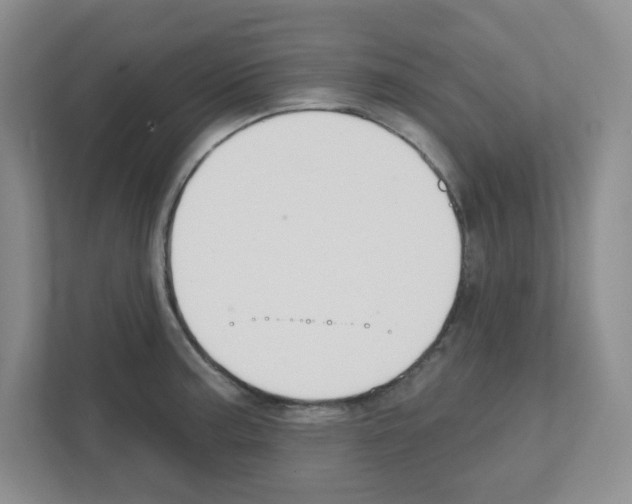 X0000111421187200908241126