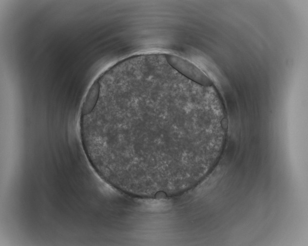 X0000111421189200908241126
