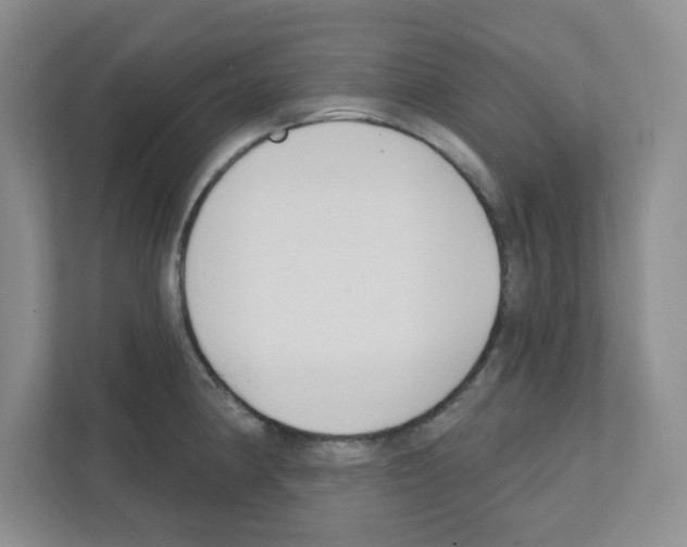 X0000111421190200908241126